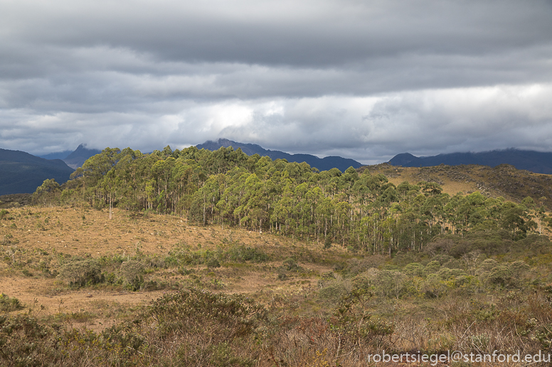 minas gerais